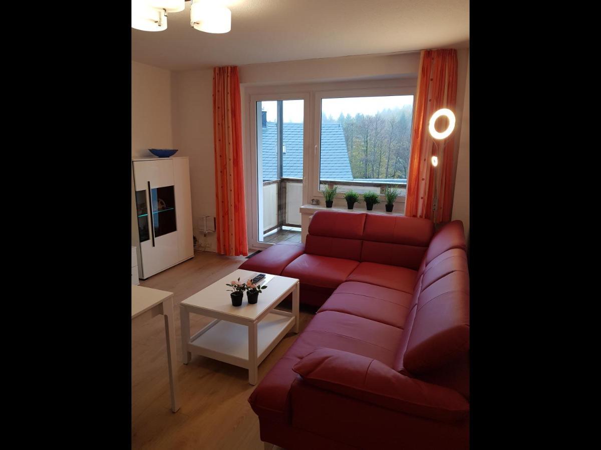 Neu Fewo Oberwiesenthal Og エクステリア 写真